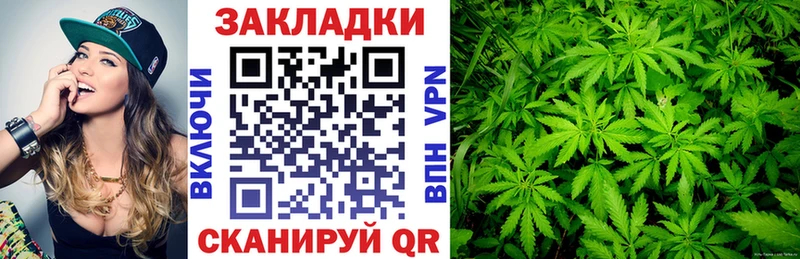 Магазины продажи наркотиков Новомичуринск Бошки Шишки  АМФЕТАМИН  Альфа ПВП  ГАШ  Кокаин  Меф 