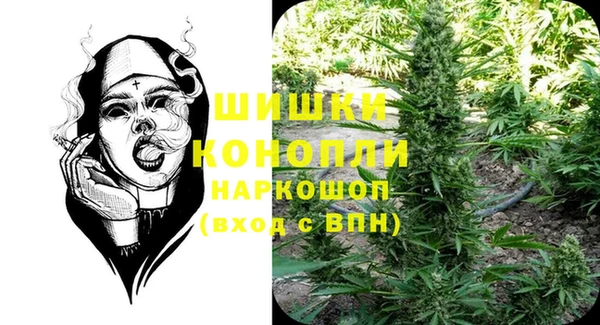шишки Алексеевка