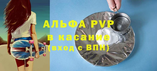 хмурый Абаза
