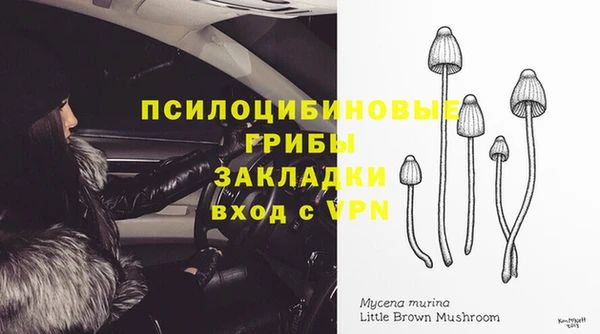 шишки Алексеевка