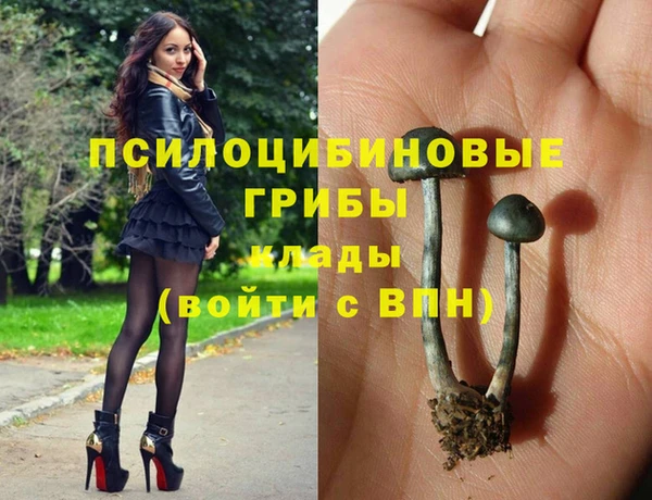 соль ск Алексин