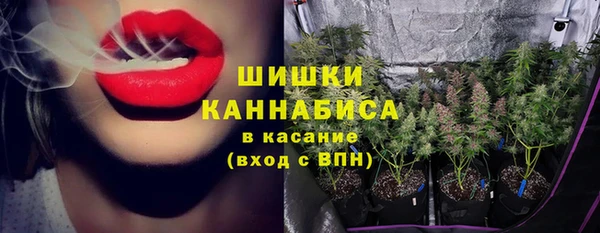 соль ск Алексин