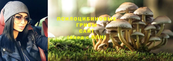 дурь Алзамай