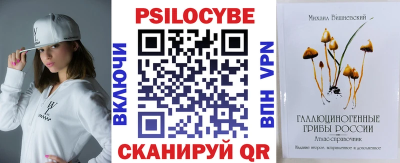 дарнет шоп  Новомичуринск  Псилоцибиновые грибы GOLDEN TEACHER 